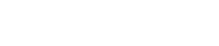 endoluminal solutions